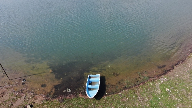 Çöl Gitti, Göl Geldi