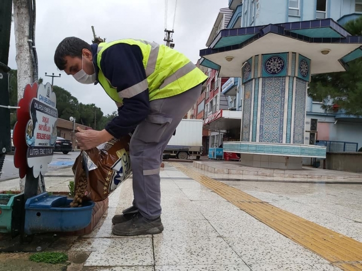 Çan Belediyesi Sokak Hayvanlarını Unutmadı