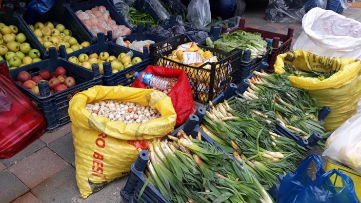 Doğal Antibiyotik Olan Çiriş Otu Pazardaki Yerini Aldı