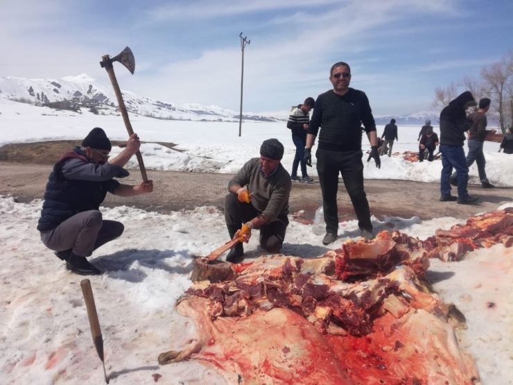 Yüksekova’da Korona Virüsüne Karşı Kurban Kesilip Dua Edildi