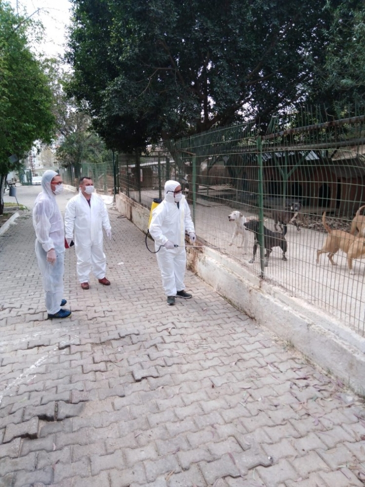 Sokaktaki Canlar Unutulmadı