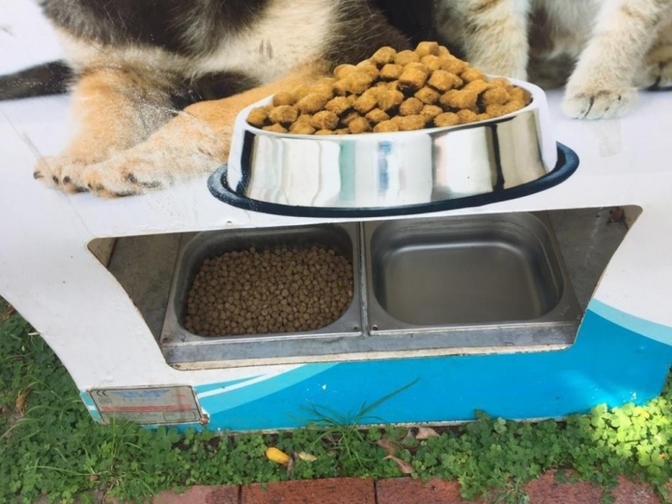 Alanya’da Sokak Hayvanlarına 80 Yeni Beslenme Ünitesi