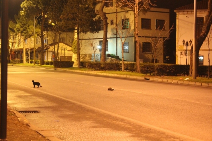 Yürek Yakan Görüntü Ordu’dan: Biri Gitti Biri Geldi