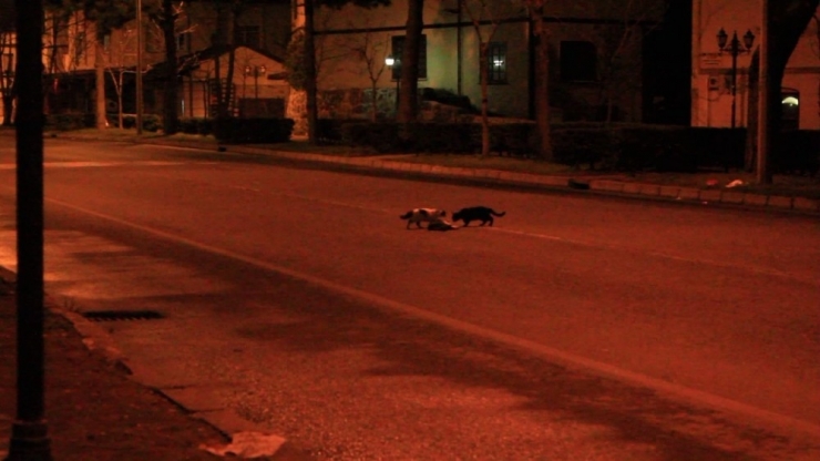 Yürek Yakan Görüntü Ordu’dan: Biri Gitti Biri Geldi