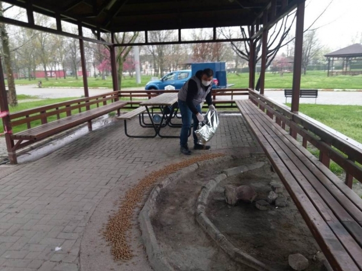 İnegöl Belediyesi Sokak Hayvanlarını Yalnız Bırakmıyor