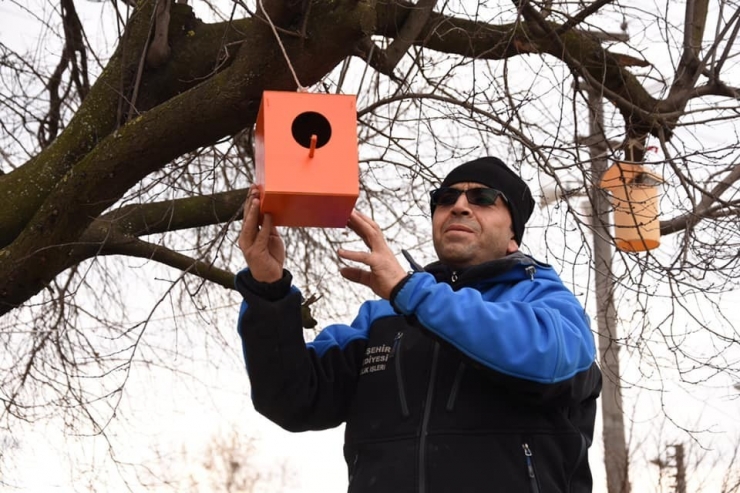 Yenişehir Belediyesi Sokak Hayvanlarını Unutmadı