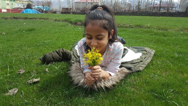 Bitlis’te Baharın Müjdesi Çiçeklerden Renk Cümbüşü