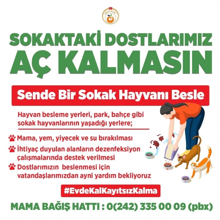 Antalya Valisinden Sokak Hayvanları İçin Yardım Kampanyası