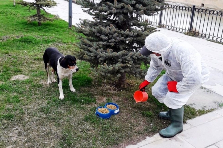 Bayburt’ta Sokak Hayvanları Unutulmuyor