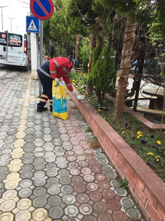 Didim’de Belediye Sokak Hayvanlarını Besliyor