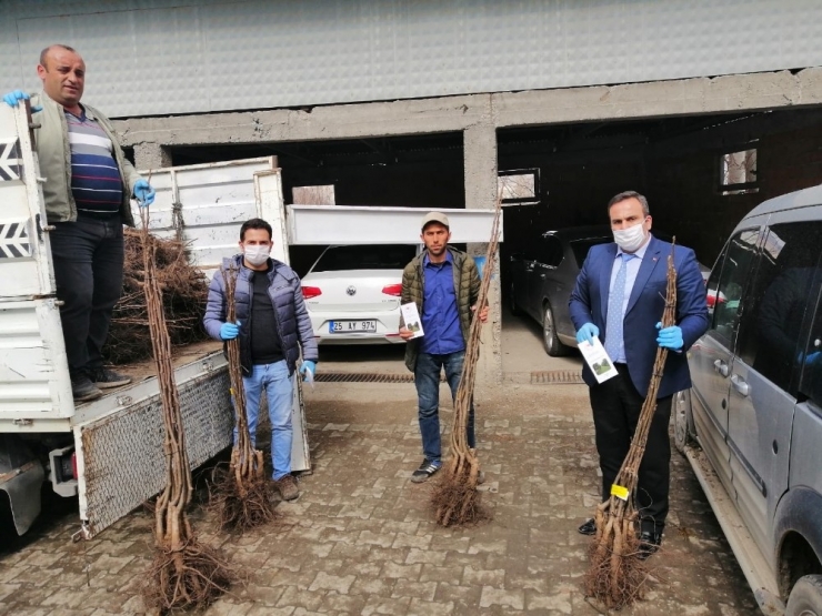 Erzurum’da 1293 Çiftçiye ‘Yazlık Buğday Tohumu’ Desteği Yapıldı