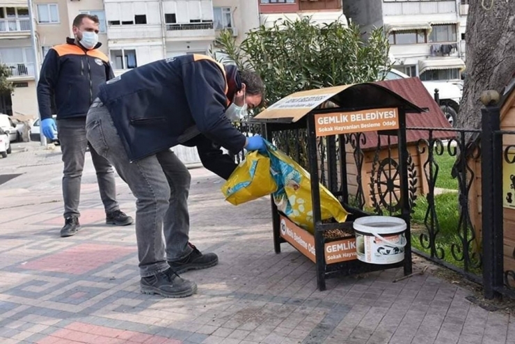 Gemlik’de Mama Kapları Uygun Alanlara Yerleştiriliyor
