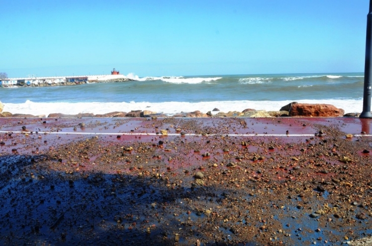 Fatsa’da Dev Dalgalar Kara Yoluna Ulaştı