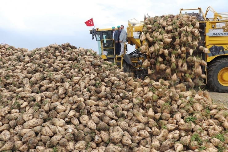 Sivas Şeker Pancarı Üretiminde 6’ncı Sırada