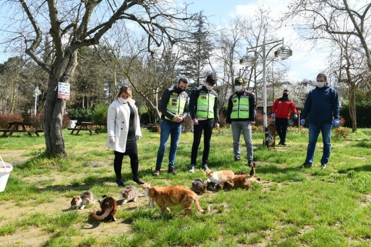 Mustafakemalpaşa’da Sokak Hayvanları Unutulmadı
