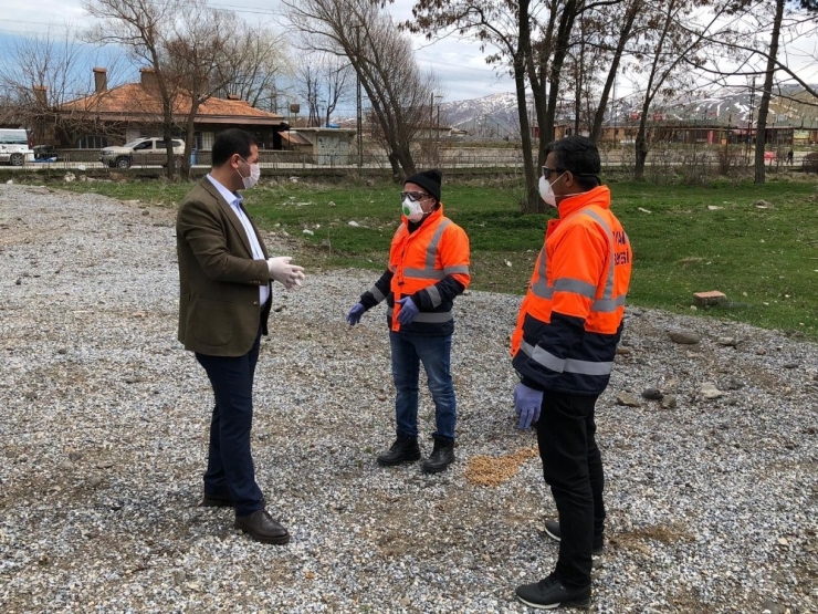 Tatvan’da Sokak Hayvanları İçin Doğaya Yiyecek Bırakıldı