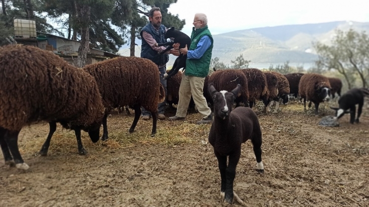Ana Kuzuları Böyle Görüntülendi