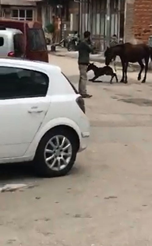 Sokak Ortasında Doğum Yaptı