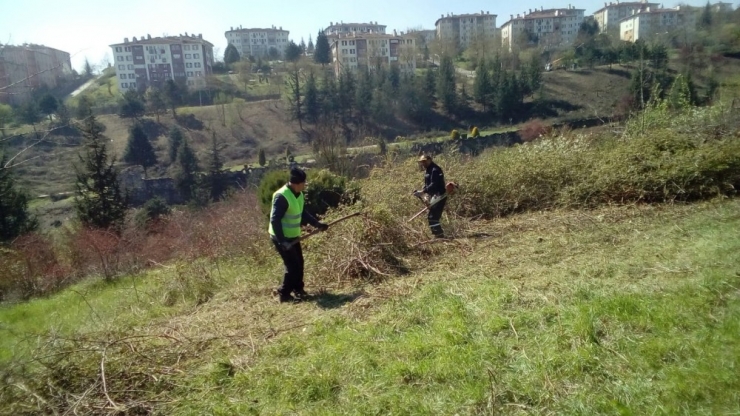 Düzce Belediyesinden Bahar Hazırlığı