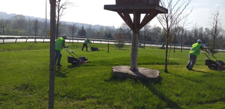 Düzce Belediyesinden Bahar Hazırlığı