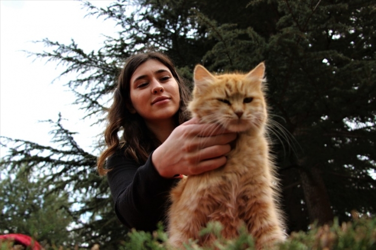 Elazığ’da Üniversite Öğrencisi, Sokak Hayvanlarını Besliyor