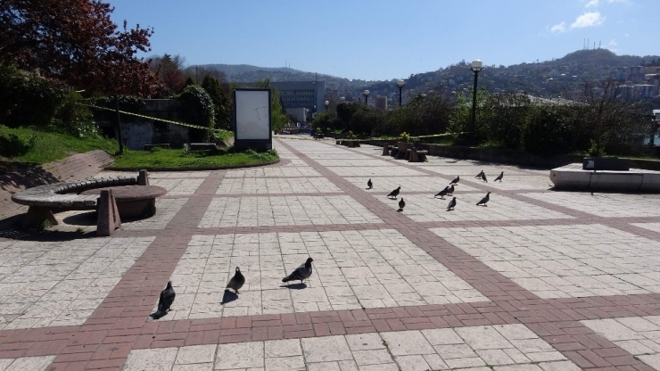 Zonguldak’ta Vatandaşlar Uyarılara Rağmen Sokakta