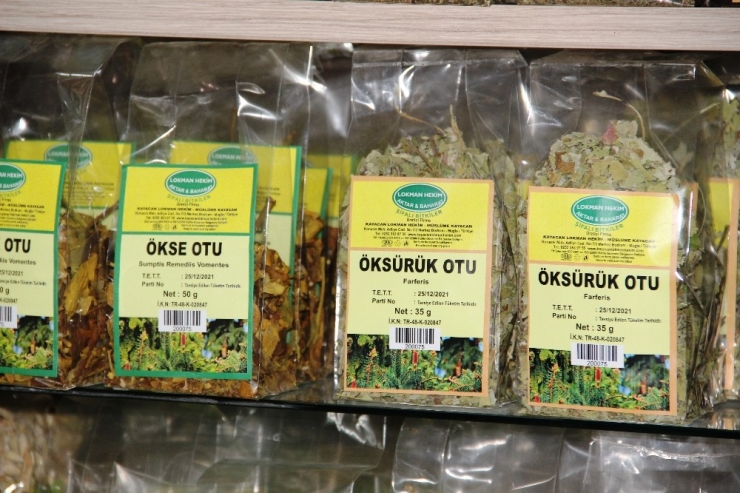 Şifalı Otlar Ve Bitkiler Yok Satıyor