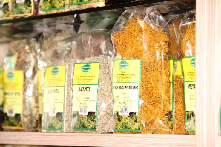 Şifalı Otlar Ve Bitkiler Yok Satıyor