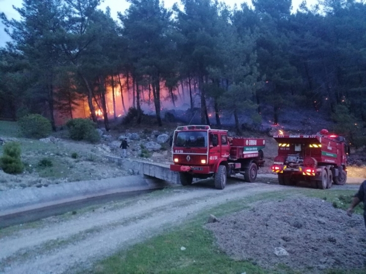 Muğla’da Orman Yangınları Erken Başladı