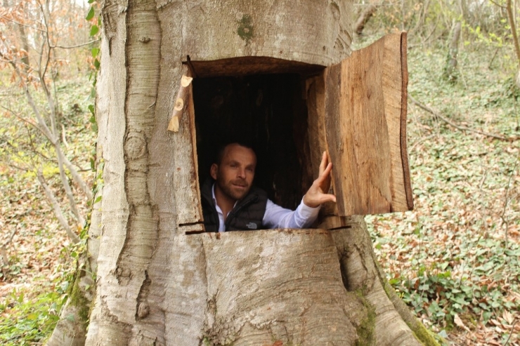 Ağaçkakan Gibi Asırlık Ağaca Sığındı, Başına İş Açtı