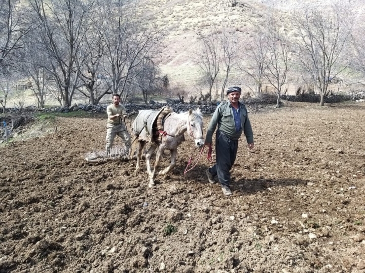 Uludure’de Atlarla Tarla Sürdüler