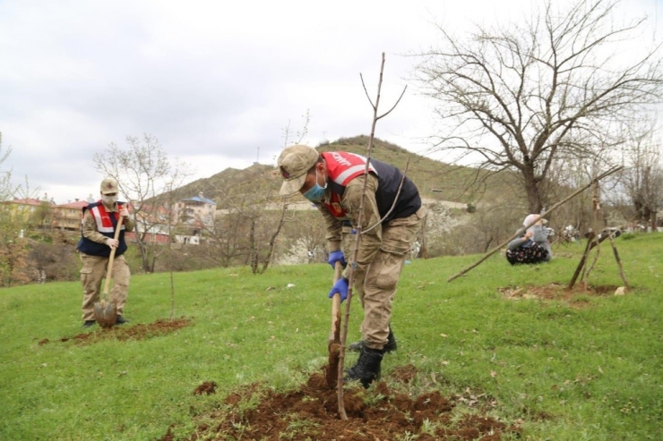 Tunceli’de 88 Yaşındaki Sakine Ninenin, Bahçesine Fidanları Dikildi