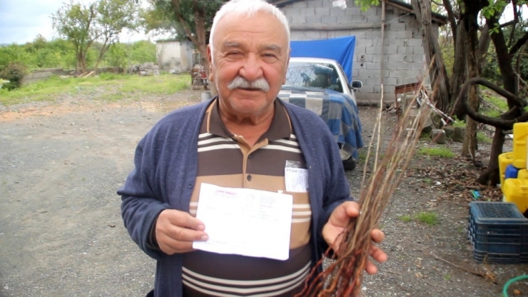 Tv’den Fidan Sipariş Eden Çiftçiye Kurumuş Fidan Yolladılar