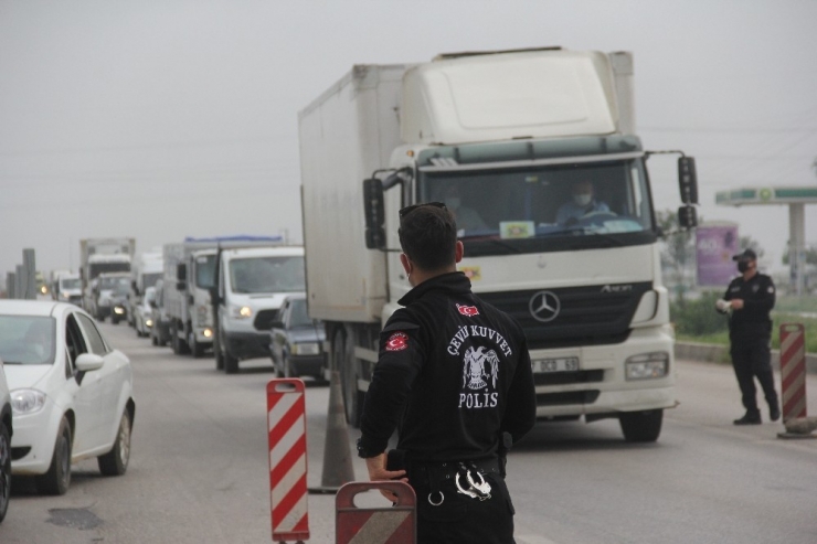 Korona Virüs Uygulamasında At Araba Sürprizi