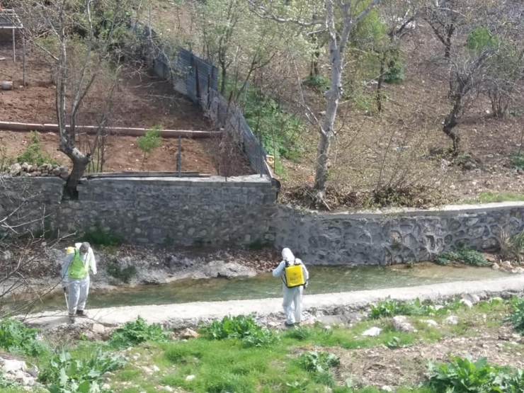 Besni’de Haşereyle Mücadele Sürüyor