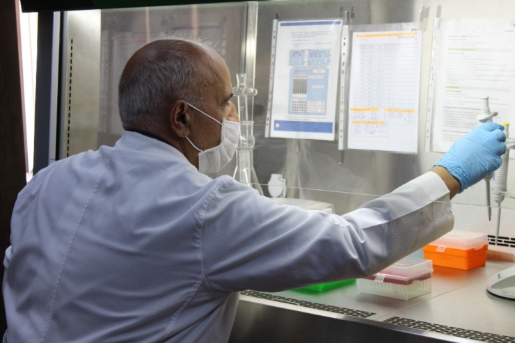 Atatürk Üniversitesinde Plazma Tedavisi İçin Altyapı Hazır