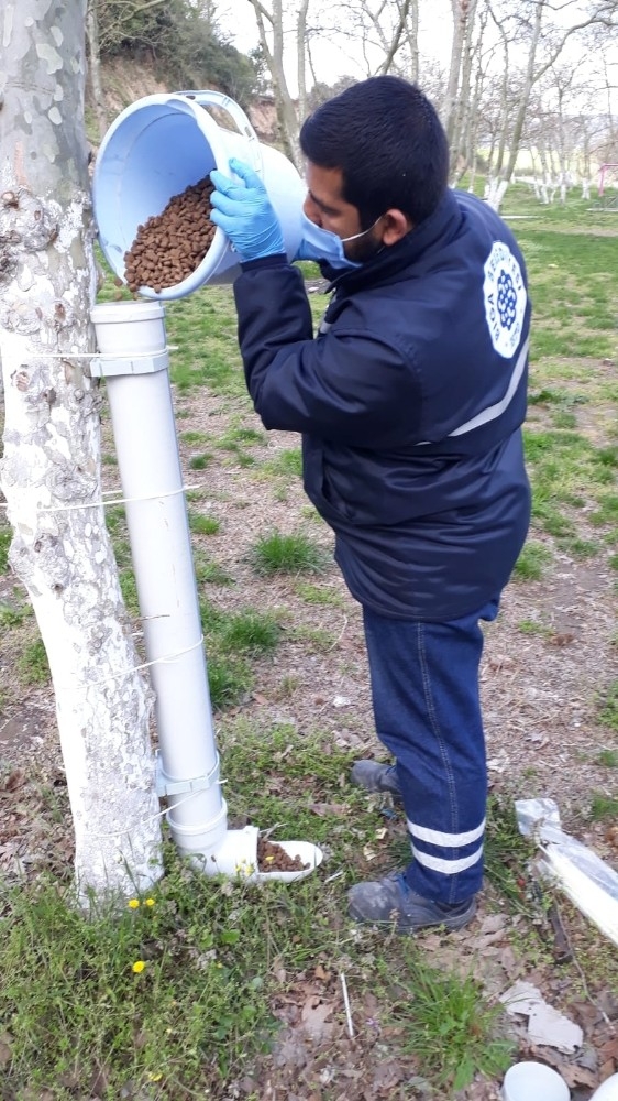 Biga Belediyesi Sokak Hayvanlarını Unutmadı
