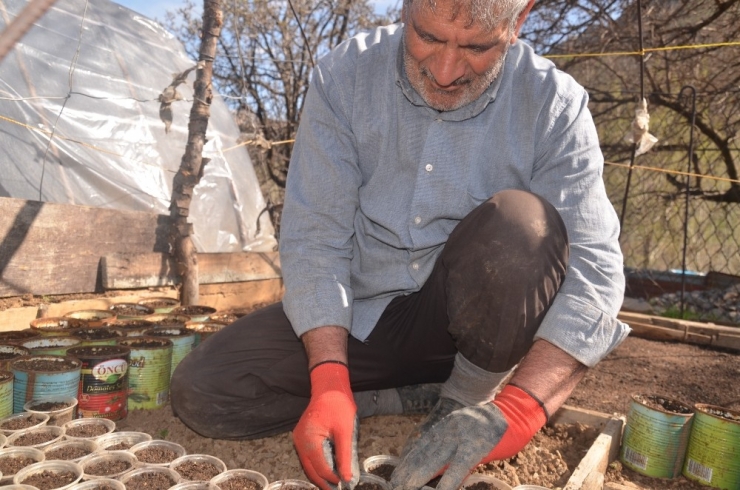 Şırnak’ta Organik Sebze Tohumları Toprakla Buluştu