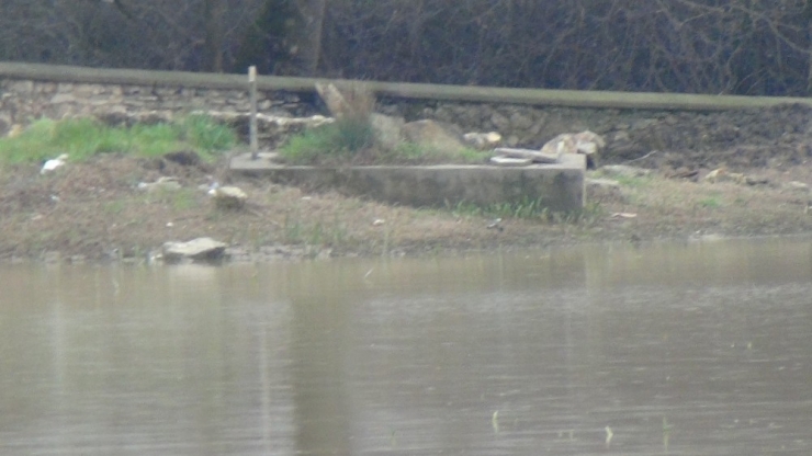 Sular Tekrar Yükseldi, Mezarlar Sulara Gömüldü