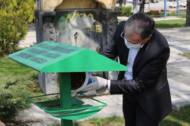 Sokak Hayvanları Düzenli Olarak Besleniyor