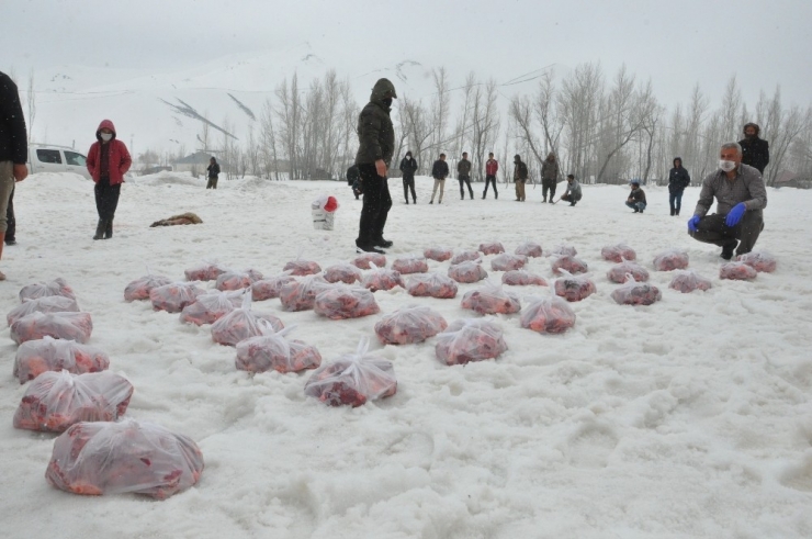 Yüksekova’da Koronaya Karşı 70 Kurban Kesilip Dua Edildi