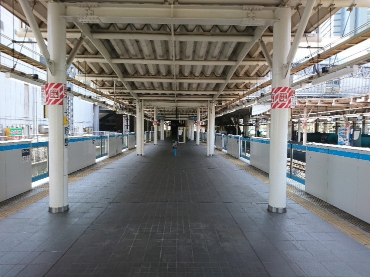 Japonya’dan Ohal Manzaraları