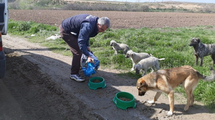 Çorlu’da Sokak Hayvanları Unutulmuyor