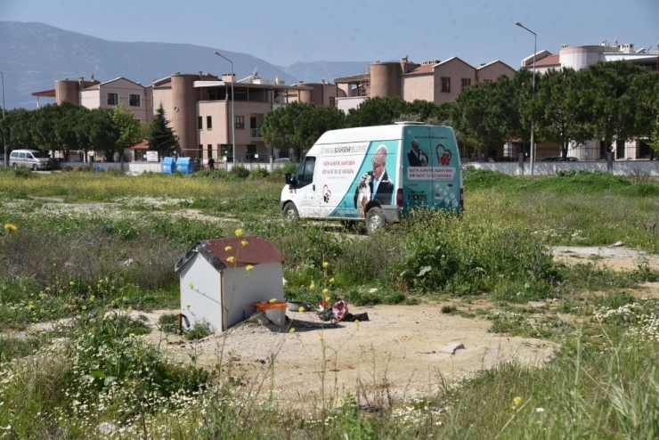 Sokak Hayvanları Unutulmadı