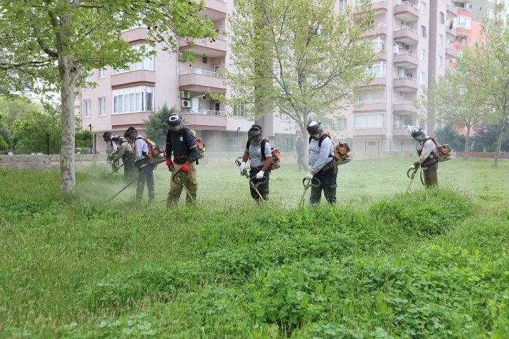 Mezitli’de Parklar Ve Sosyal Alanlarda Bakım Çalışması