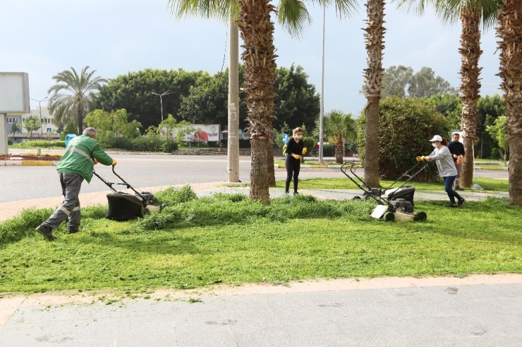 Mezitli’de Parklar Ve Sosyal Alanlarda Bakım Çalışması