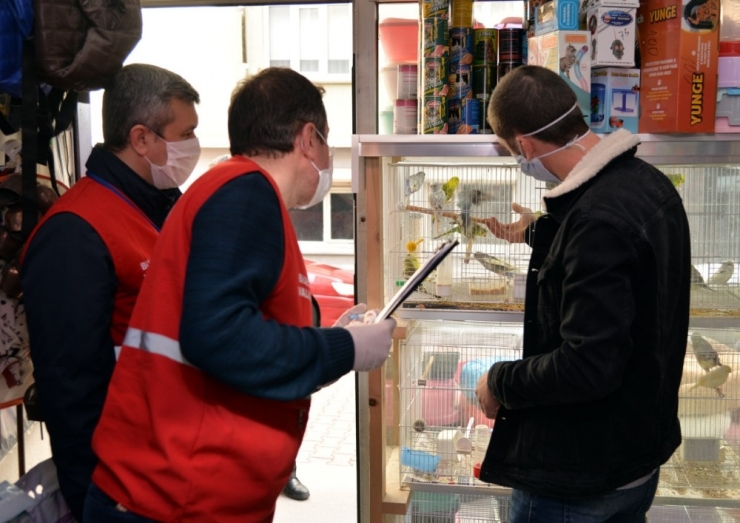 Vefa İletişim Merkezini Arayıp Muhabbet Kuşu İstedi