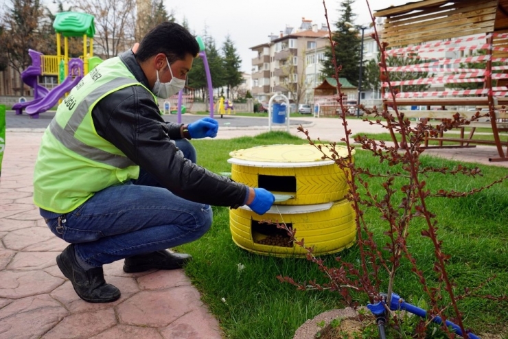 Nevşehir Belediyesi Sokak Hayvanlarını Aç Bırakmıyor