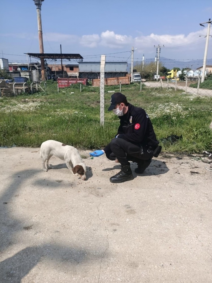 Ödemiş Polisi Can Dostları Sahipsiz Bırakmadı