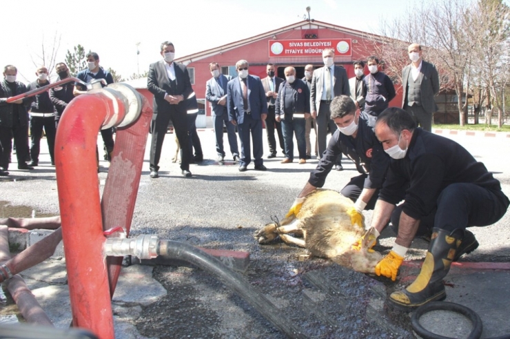 İtfaiye Erleri Korona Virüse Karşı Kurban Kesip Dua Etti